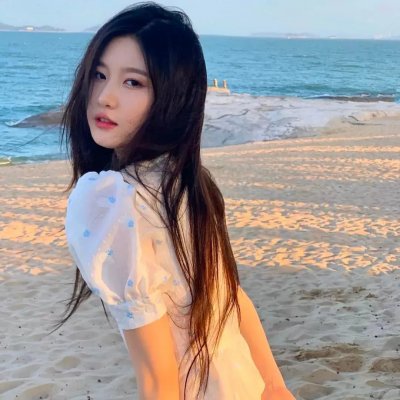 谍报飞龙